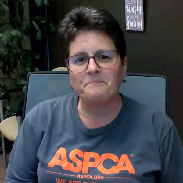 Amanda Sexton- Manager, Partner Relations