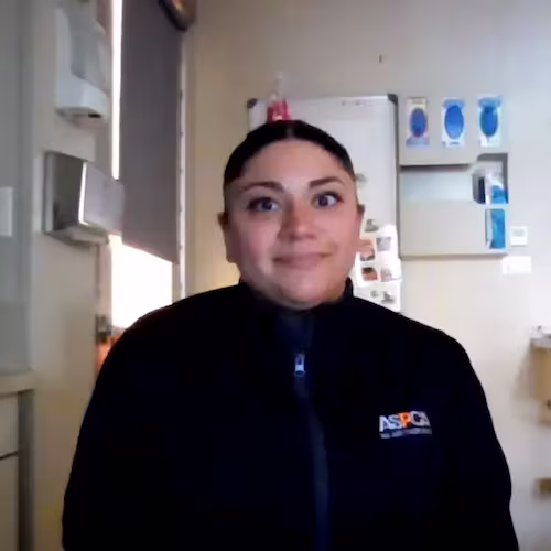 Brittany Umana, Manager, Licensed Veterinary Technician