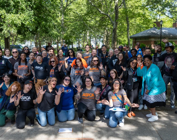 ASPCA Careers