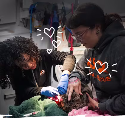 ASPCA Careers