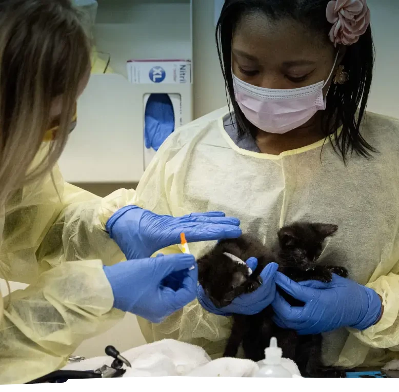ASPCA Careers