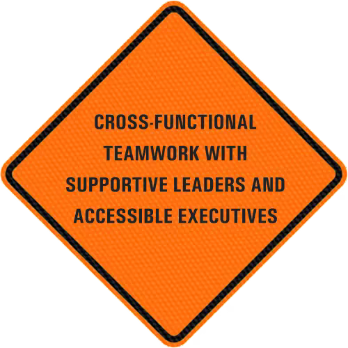 Cross-functional teamwork with supportive leaders and accessible executives