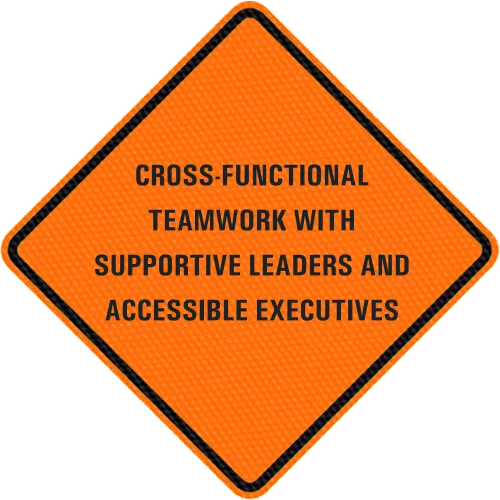 Cross-functional teamwork with supportive leaders and accessible executives