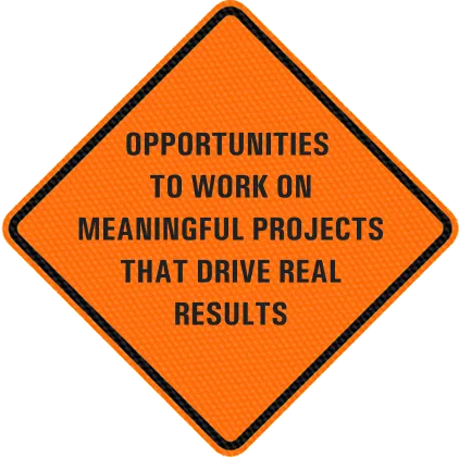 Opportunities to work on meaningful projects that drive real results