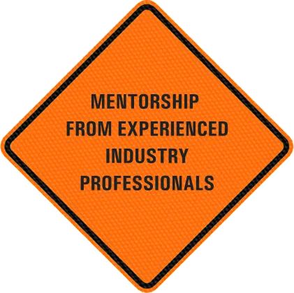 Mentorship from experienced industry professionals