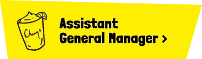 Assistant General Manager jobs
