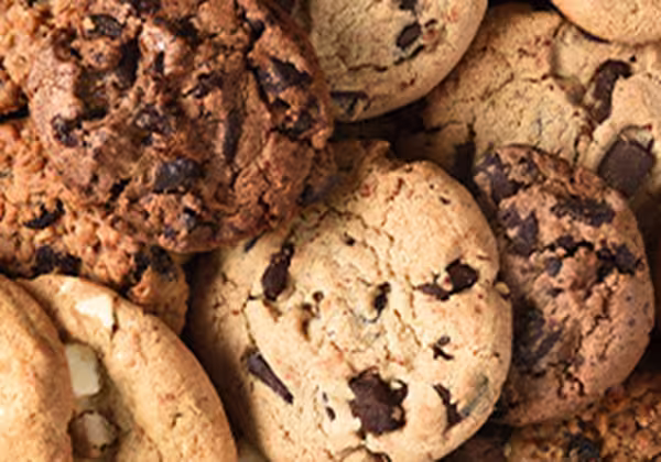 Several chocolate chip cookies