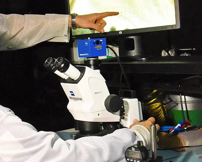 Two scientists and an electron microscope in a lab.
