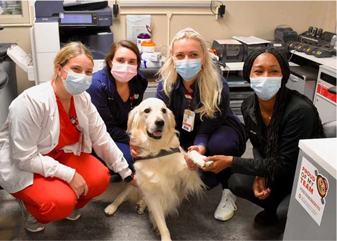 A group of nurses with a therapy dog.