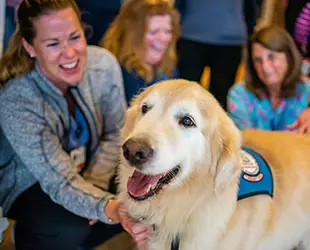 South Shore Health employees with a therapy dog